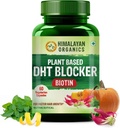 DHT générique à base végétale Bloqueur avec Bonté des Feuilles de Bouilloires - 60 Capsules de Veg