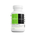 DAVINCI Labs Candid-Away - Digestive Gut Health Support, système immunitaire avec enzymes digestives, calcium, magnésium et plus* - 90 Capsules végétariennes (30 portions)