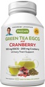 ANDREW LESSMAN Green Tea EGCG & Cranberry 60 Capsules - Standardisé pour Catéchines et Polyphénols. Aide à protéger les tissus, les organes et les systèmes dans tout le corps. Support puissant anti-oxydant