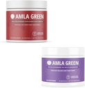 Amla Poudre & Thé vert Superfood Supplément, Support Antioxydant, Fabriqué avec Hibiscus (90 portions) &Elderberry (30 portions), Bio, Vegan