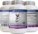 Enzymes digestifs pour chiens Poudre - PROBIOTIQUES pour chiens - Gout sain - Stop Diarrhée gazeuse et mauvaise haleine - Boost digestif - probiotiques pour chiens - 1 bouteille (60 traites)
