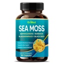 Mousse de mer premium avec Ashwagandha, Burdock Bladderwrack, Graine noire pour système immunitaire, peau, digestion et énergie- Fabriqué aux États-Unis (150 comte (paquet de 1))