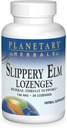 Herbes Planétaires Slippery Elm Lozenges, Soutien à la gorge des plantes, 24 Lozenge