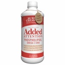 Trésor enterré - Attention ajoutée - Soutien à l'apprentissage des enfants avec GABA DHA Vitamine B and Herbal Blend - Aid Healthy Brain Functions - Amélioration de la mémoire auditive à court terme Focus & Comportement 16.54 oz