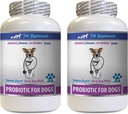 Restaure des probiotiques digestifs pour chiens - PROBIOTIQUES pour chiens - Gut sain - Stop Diarrhée gazeuse et mauvaise haleine - Boost digestif - acidophilus pour chiens - 2 bouteilles (120 gâteries)