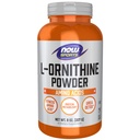 MAINTENANT Aliments Sports Nutrition, L- Ornithine Poudre, Métabolisme protéique* et urée Detox*, acides aminés, 8-Ounce
