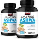 Facteur de force incroyable Ashwa, KSM-66 Ashwagandha Supplément pour le soulagement du stress, Focus, Mémoire, Soutien immunitaire, Avec vitamines, minéraux et antioxydants, Suppléments de cortisol pour les femmes, 240 comprimés (2-pack)