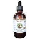 Extrait liquide sans alcool de la bouteille de sciage (Urtica Dioica) Feuille séchée Glycérite 2 oz