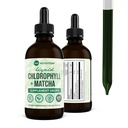 360 Nutrition Matcha Chlorophylle gouttes liquides avec L-Theanine, sans gluten et supplément de déodorant interne végétalien, soutient la santé Gut, digestion, énergie, peau radiante, absorption rapide, 60 portions