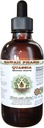 Quassia Extrait liquide sans alcool, Quassia Amara (Quassia Amara) Supplément à base de plantes glycérites séchées, Hawaii Pharm, États-Unis 2 fl.oz