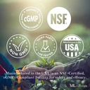 ML Naturals Champignons Complexe 120 Capsules de légumes. 6 Champignons essentiels: Reishi biologique, Lion's Mane, Cordyceps, Healthy Imune Support, NSF-Certified & cGMP-Compliant.