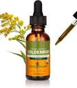 Herb Pharm Certified Goldenrod Liquid Extract for Urinary System Support, 1 Fl Oz (paquet de 1)