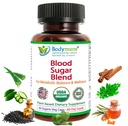 USDA Mélange de sucre de sang biologique pour soutenir le métabolisme sain* avec Melon amère, Moringa, Aloe Vera, Nopal, Papaya Extraits et plus encore