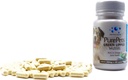 PureAets Capsules de moules vertes de Nouvelle-Zélande pour les chiens et les chats - 200mg x 120 Capsules - pour le soutien de la hanche et des articulations - 100% Arthrite Naturelle Douleur Relief - Mobility Supplément Gestion de l'inflammation
