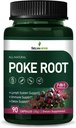 Capsules de racine de poke Suppléments de drainage lymphatique, support du système lymphatique pour Edema avec extrait de racine rouge, Dandelion pour Immune Boost & Lymph Detox Cleanse. 90 Compte