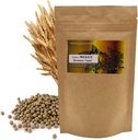 Pilule de levure biologique naturelle de Brewer