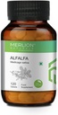 Sheltr Alfalfa Comprimés, Medicago Sativa, Tous naturels, herbes pures 500mg x 120 comprimés